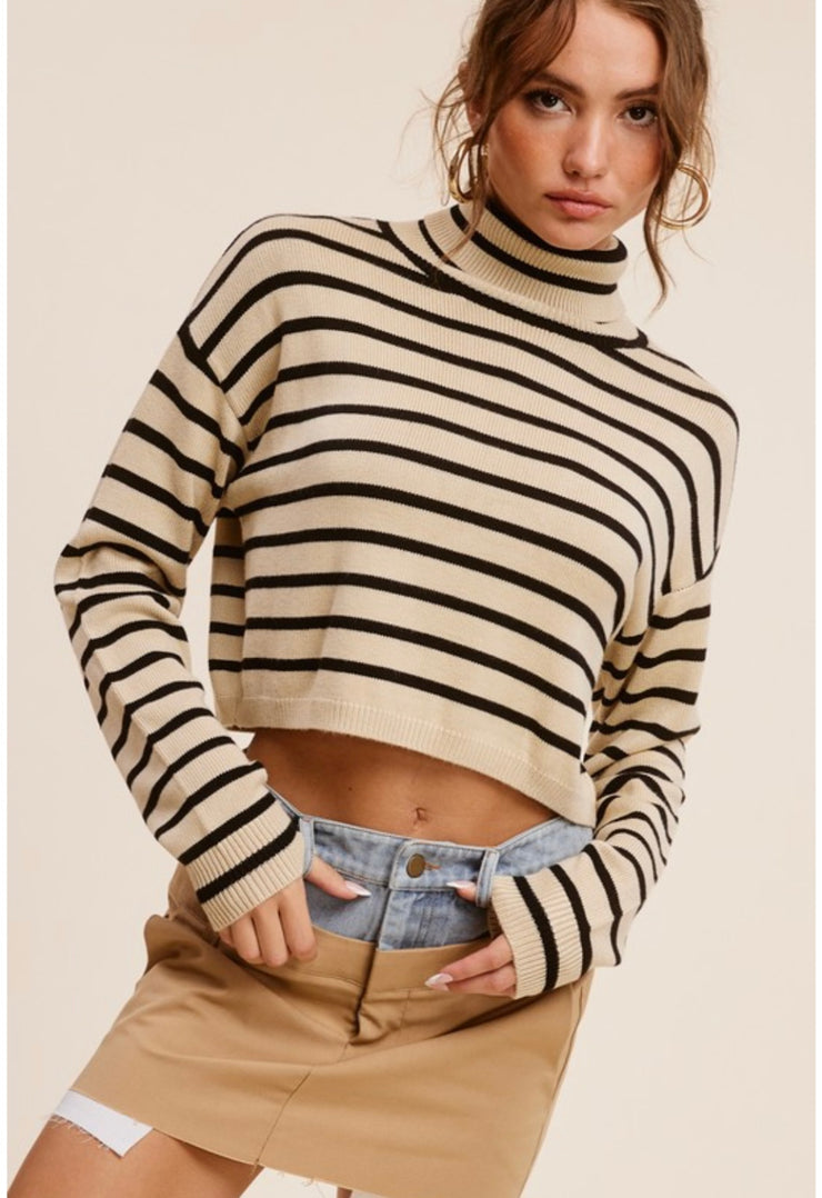 Louisa Stripe Turtleneck Crop Sweater: Khaki/Black